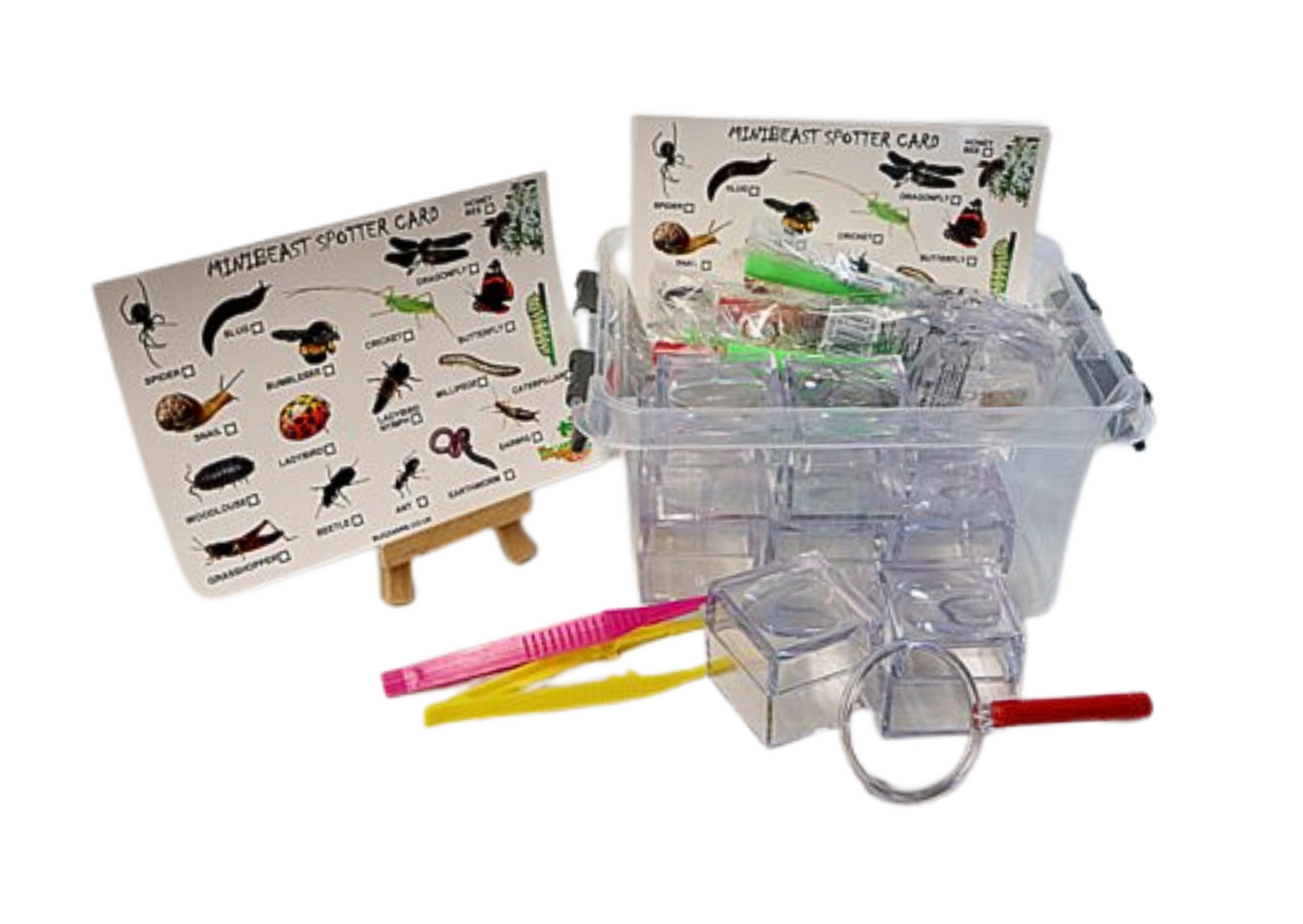 Mini Bug Hunting Set Including Bug ID Cards & Bug Viewers