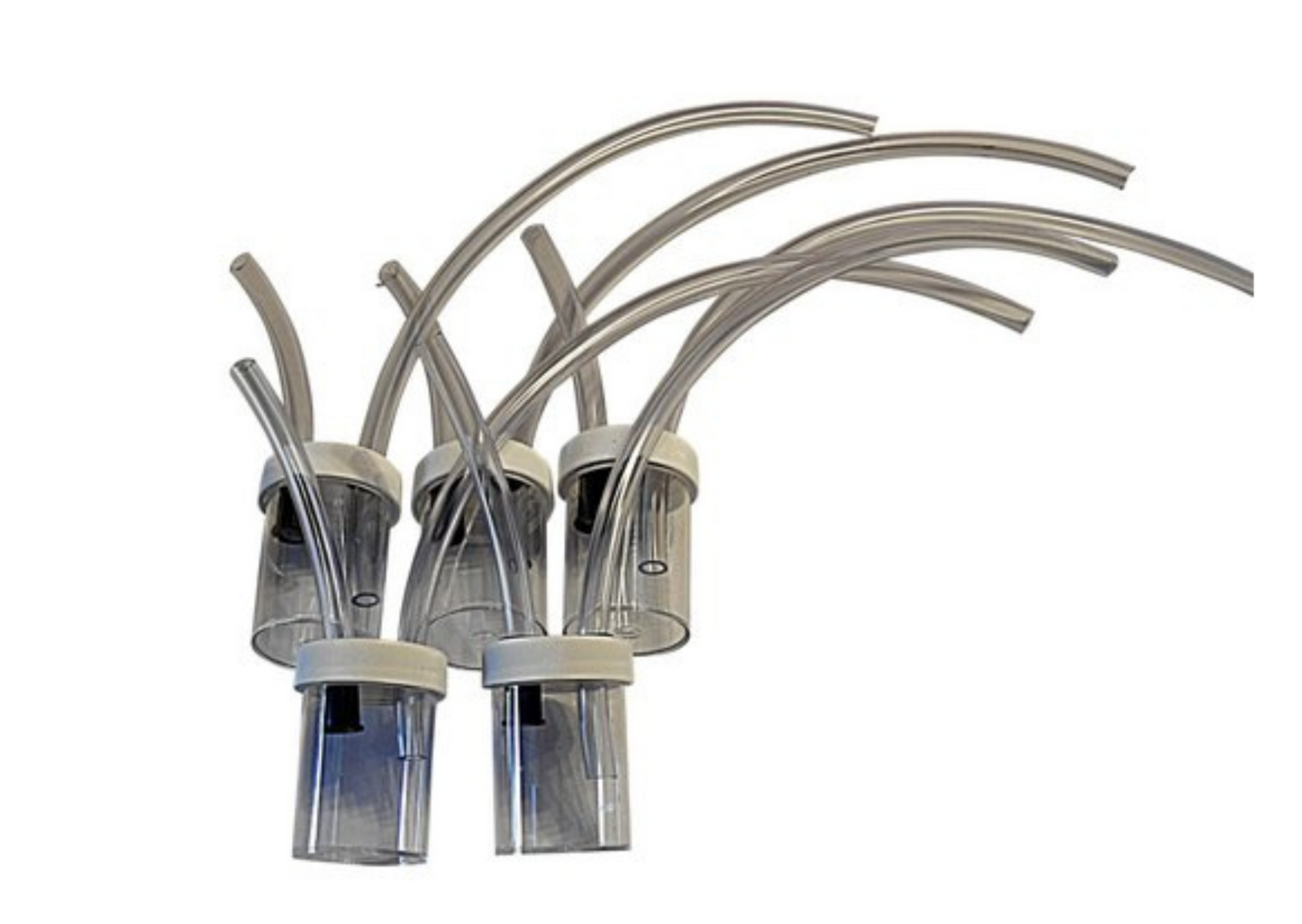 Insect Pooters - 5 Pack