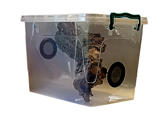 4.5 LTR Rectangle Insect Enclosure
