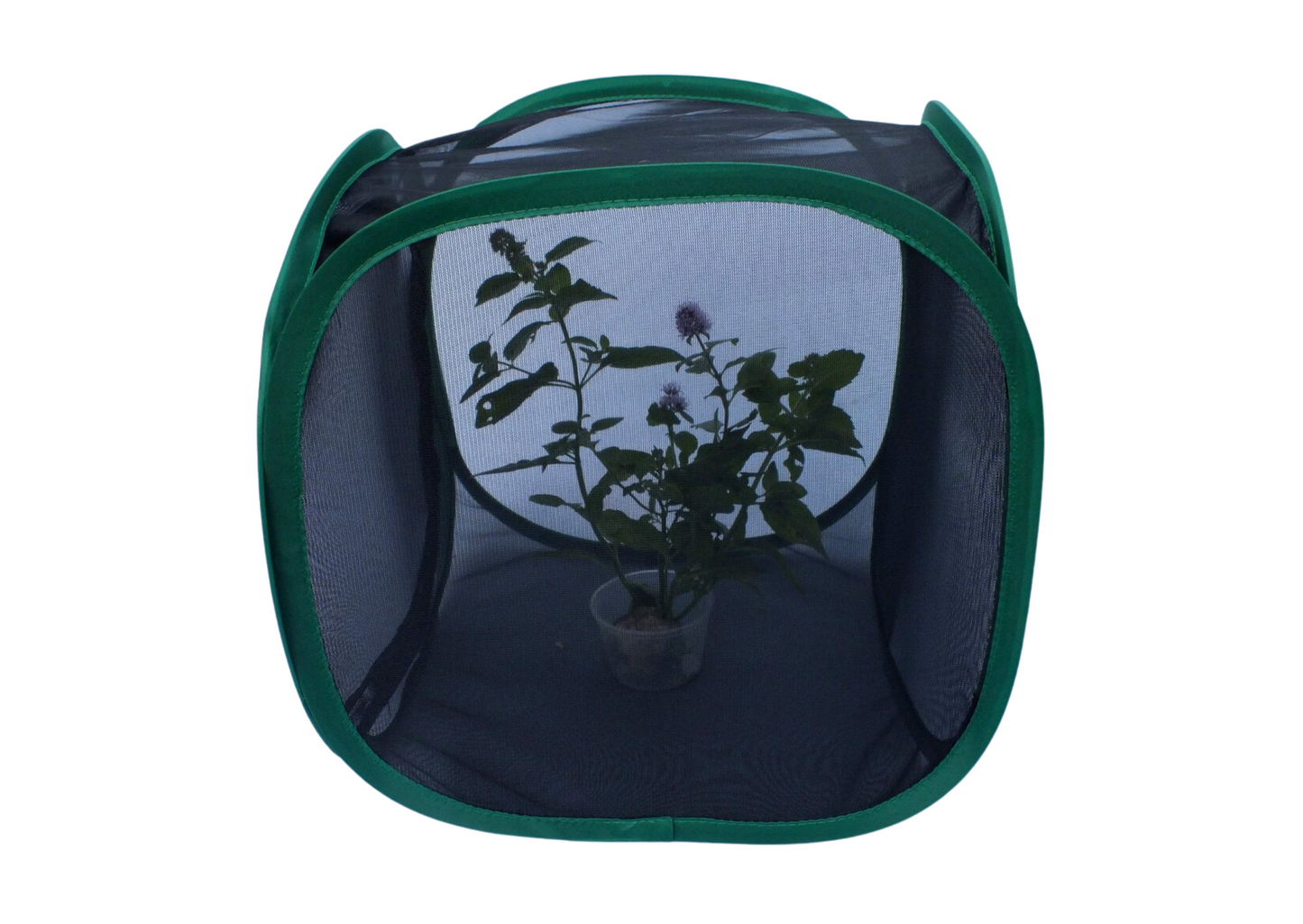 30cm Insect Rearing Cage BLACK