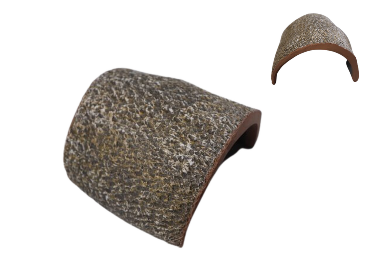 Large Reptile/Spider Cave