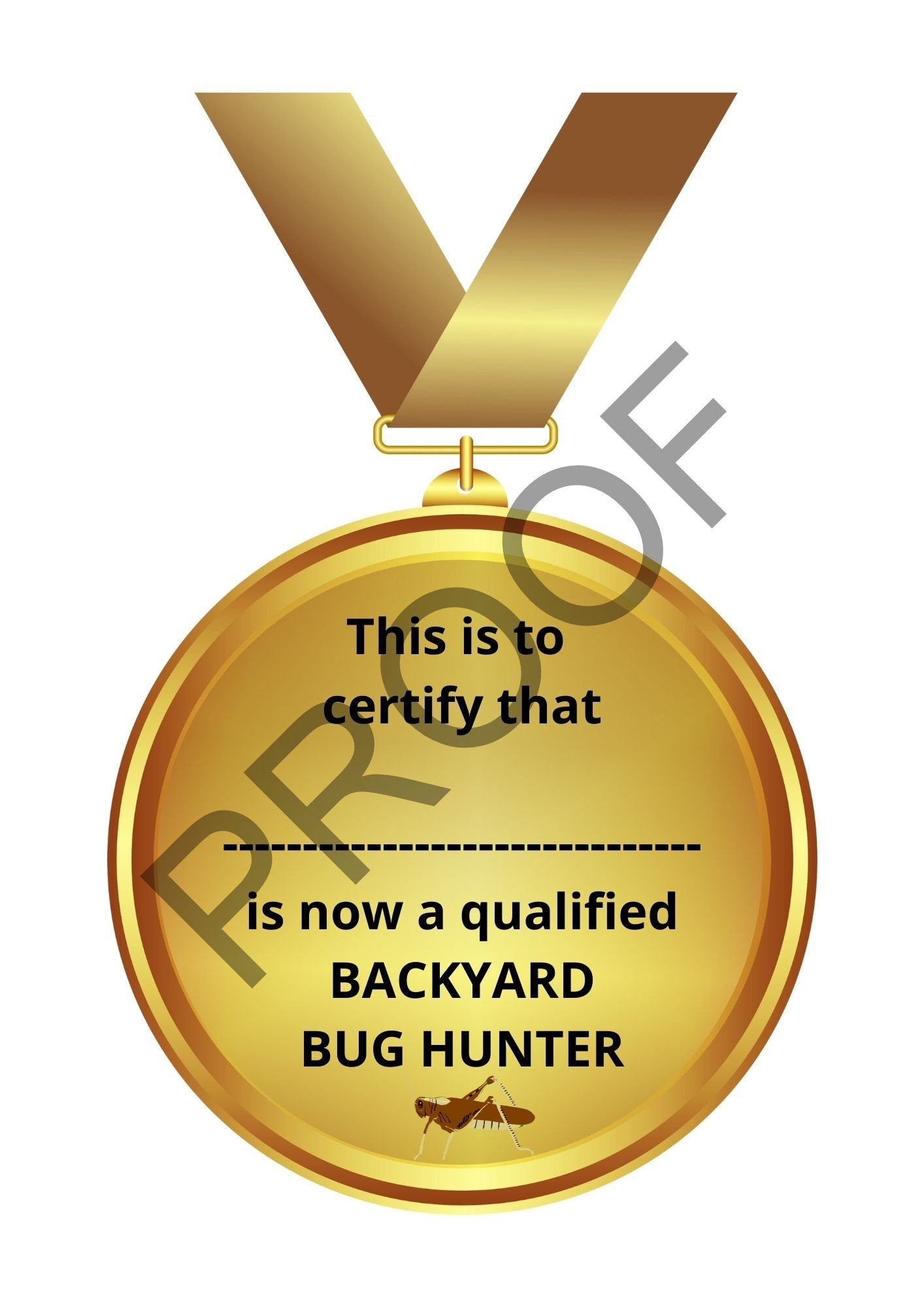 Backyard Bughunting Pocket Bug Hunting Guide & Activity Book
