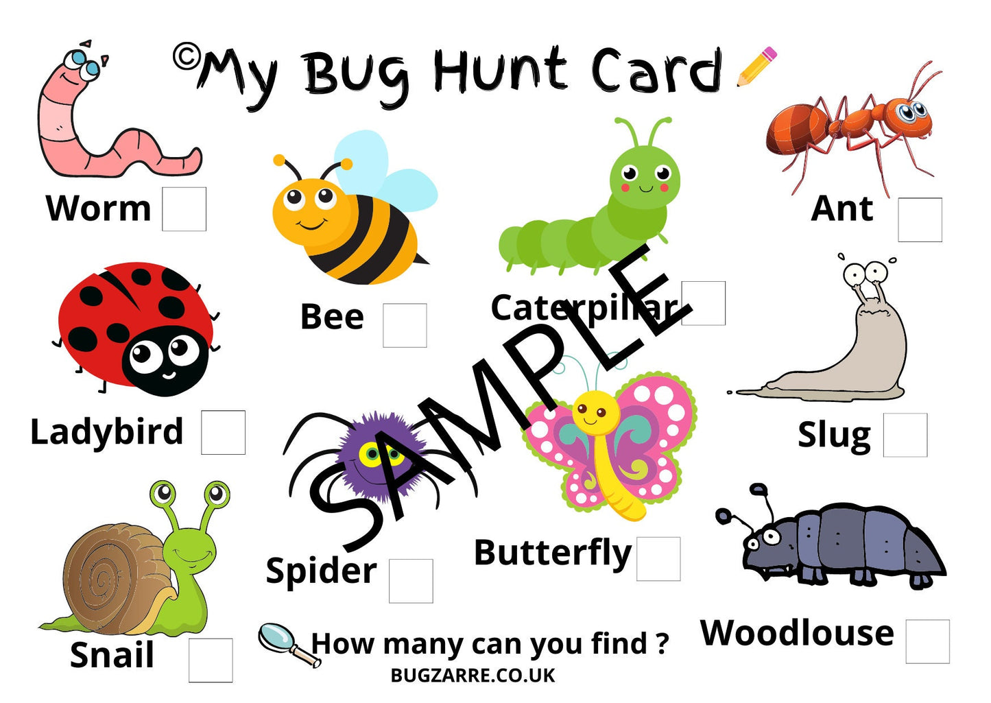 Small A6 Preschool Bug hunting Spotter Cards
