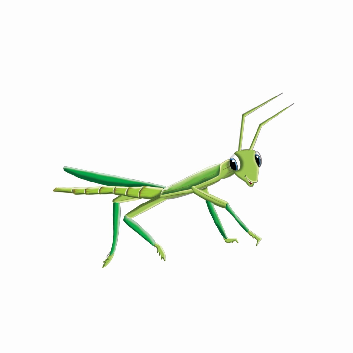 Zak's New Pet - A young boys friendship with his new pet stick insect