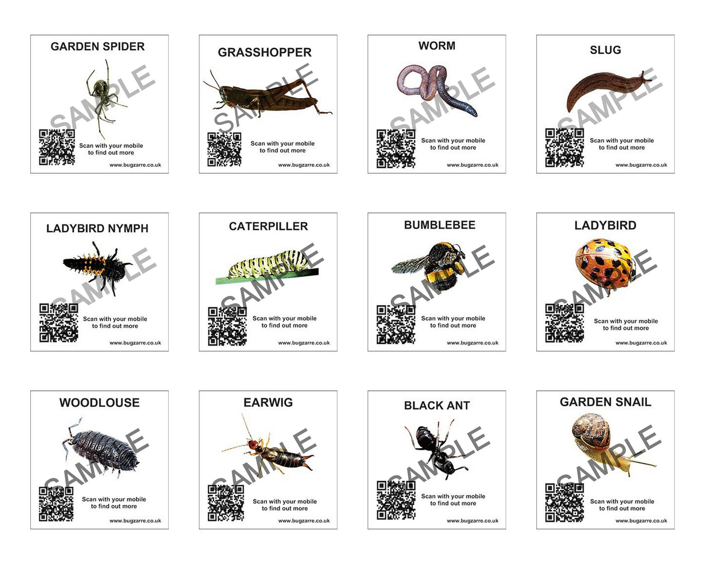 24 x Mini Bug Viewers including case & 12 insect spotter cards
