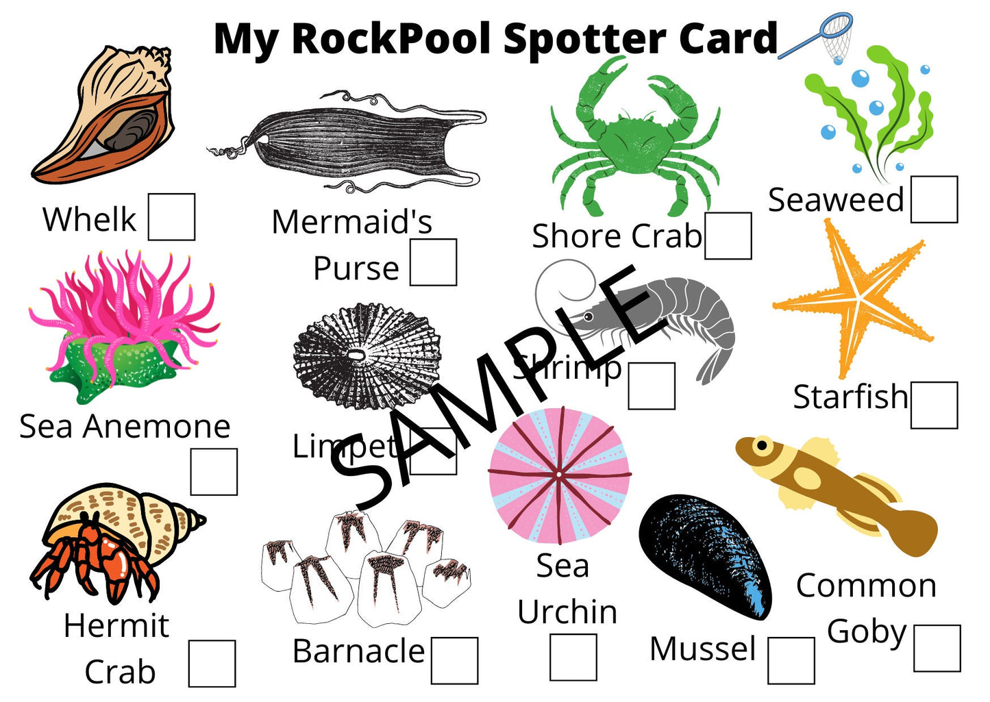 Small A6 Rock Pool Spotter Card