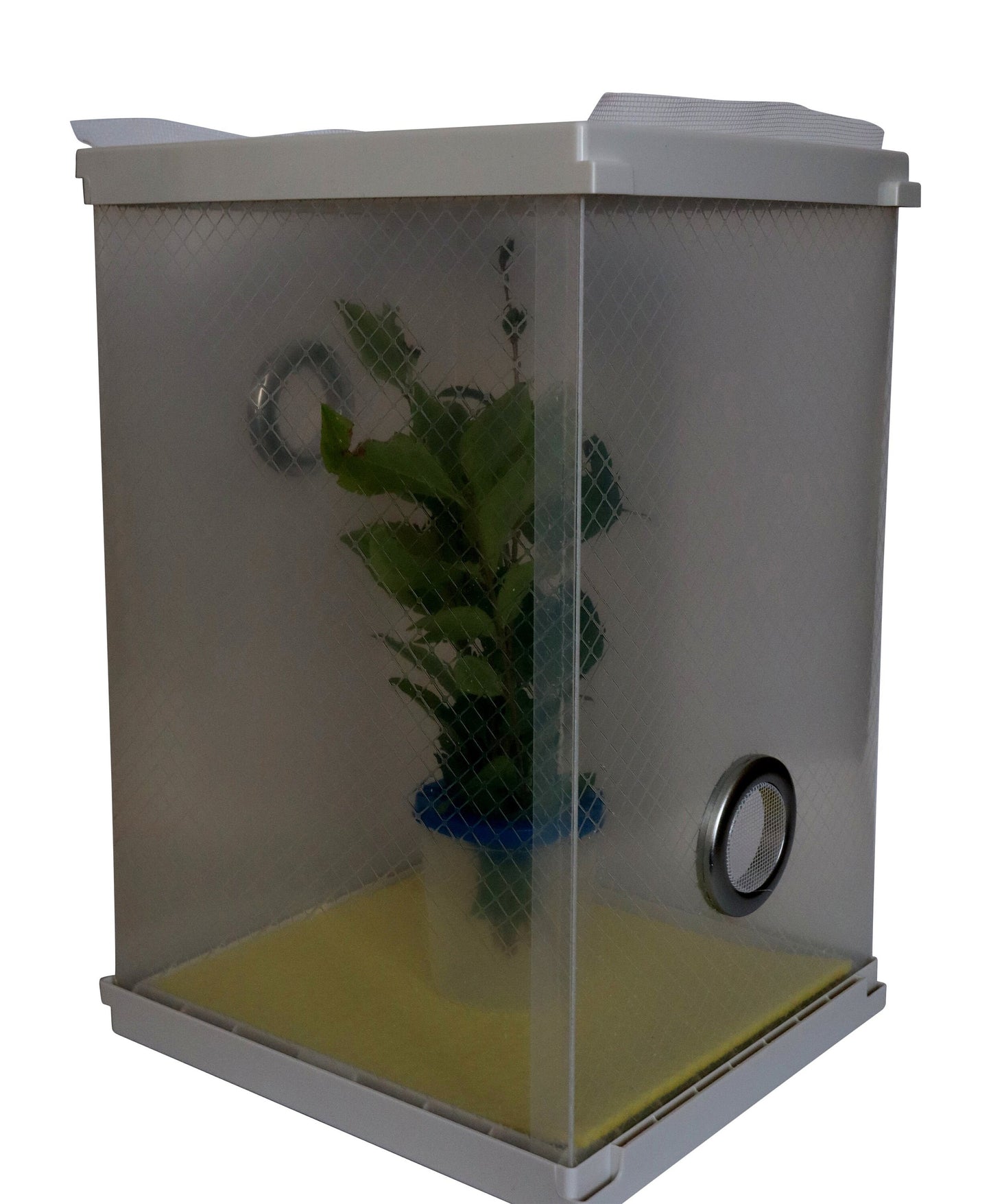 Stick Insect Cage Including Twig Pot and Easy Access Lid