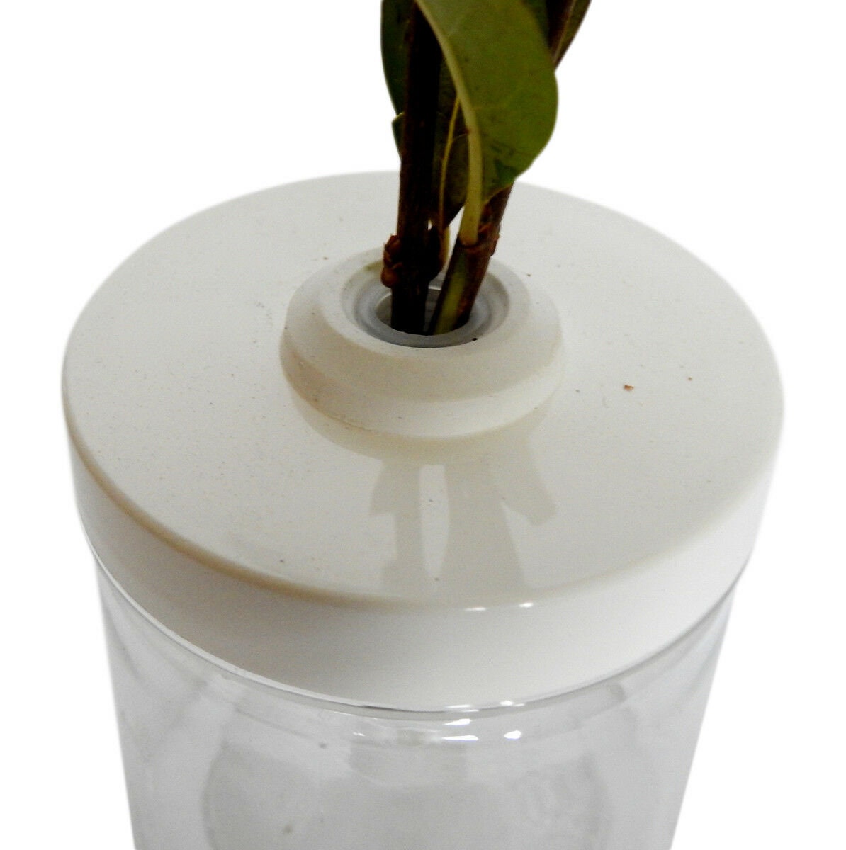 Pair Small Twig Pots, For Stick Insect Cage