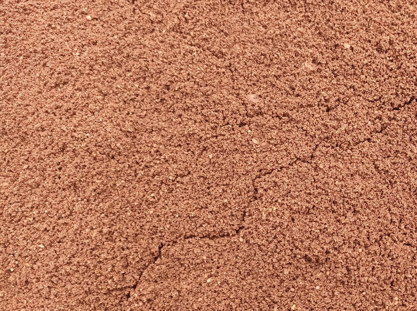 Ant Farm Tunneling Mix 500 Grams
