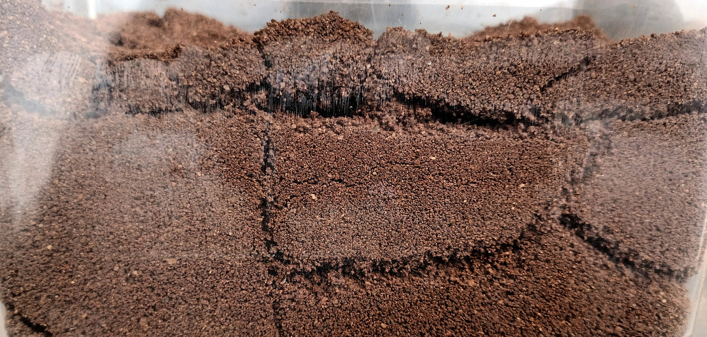 Ant Farm Tunneling Mix 500 Grams
