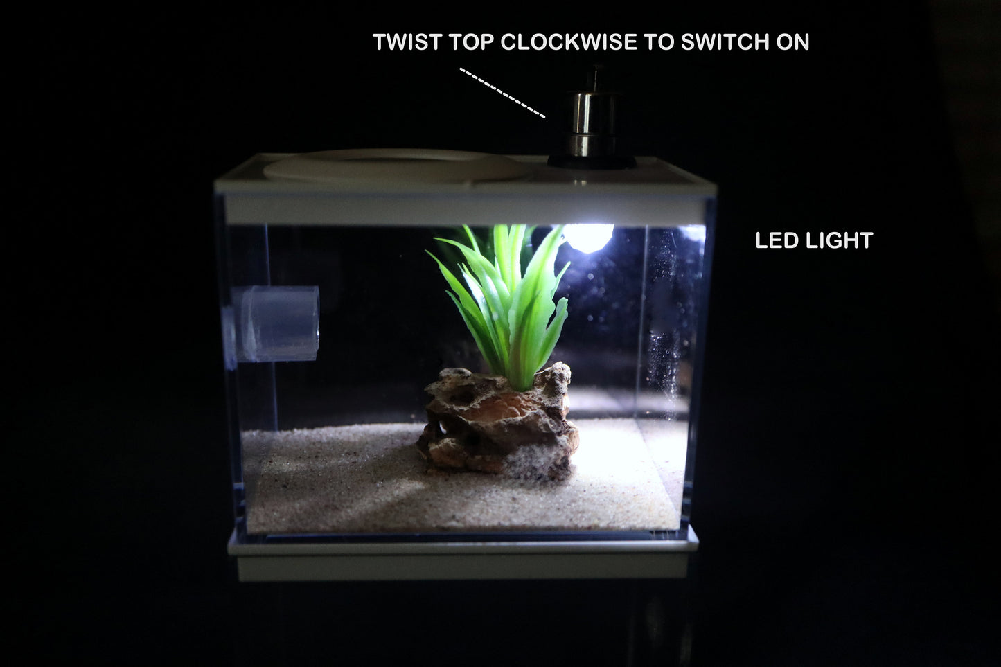 Ant Farm Double Decker Style WITH LIGHT!