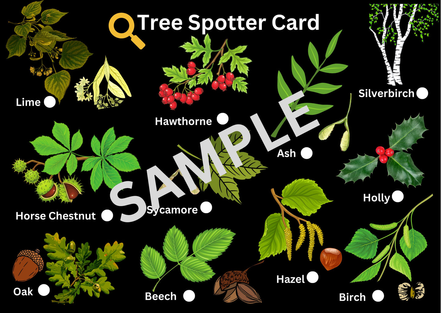 Small A6 Tree Spotter Card