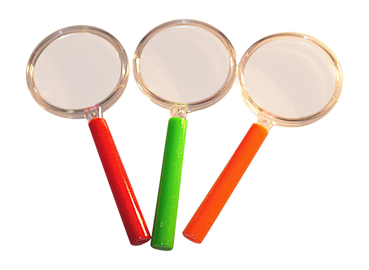 New Ultimate Pond Dipping and Bug Hunting Set (small groups)