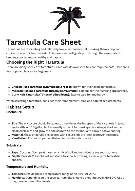 Tarantula Insect Care Sheet