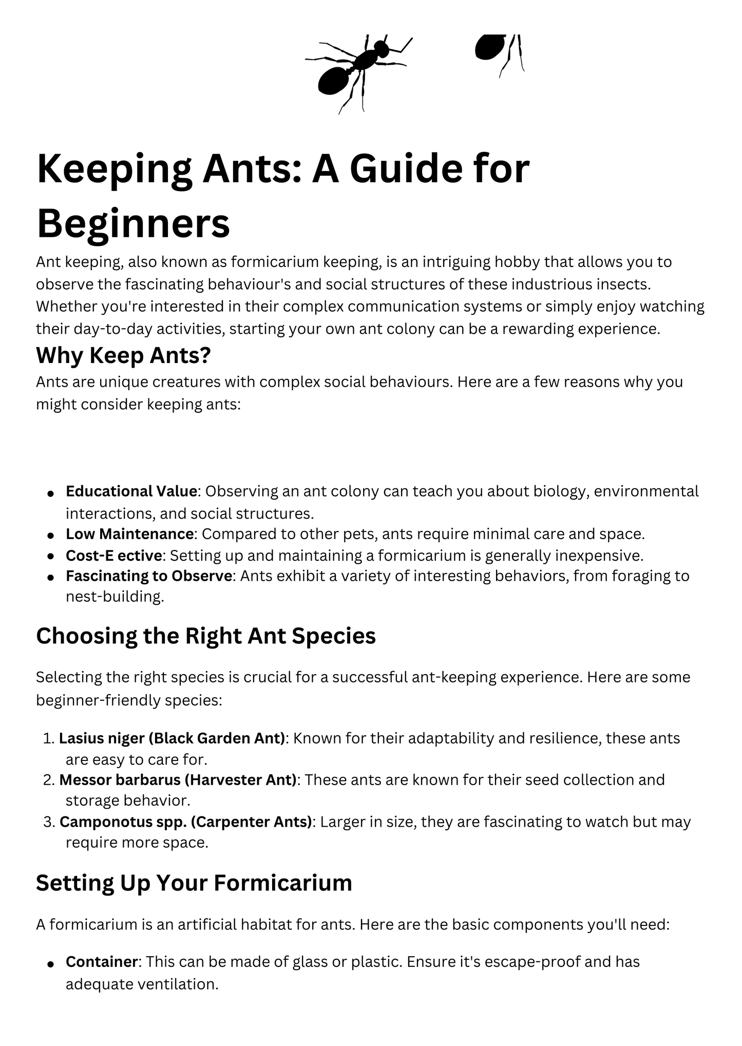 Beginner's Guide To Keeping Ants