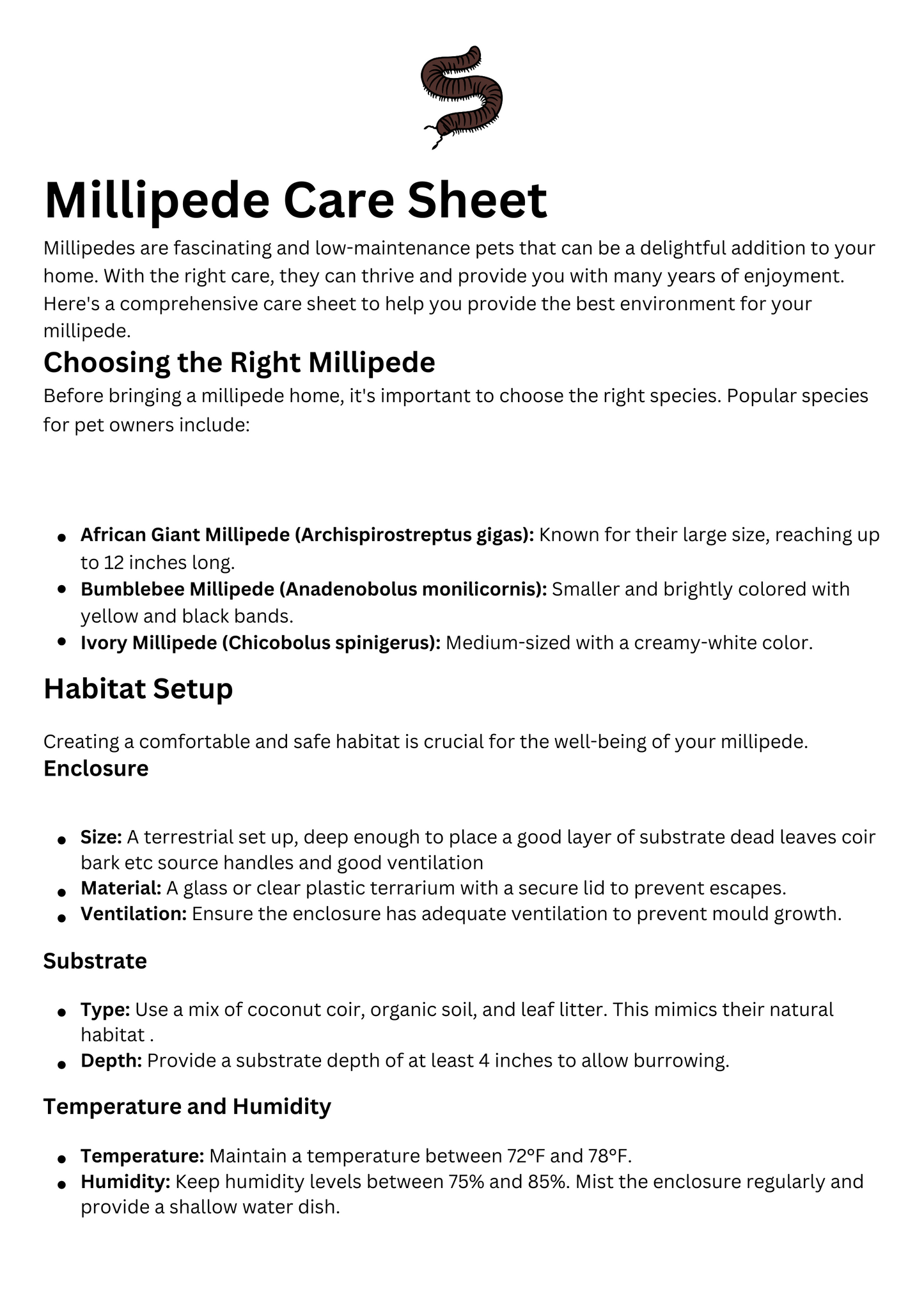 Millipede Care Sheet