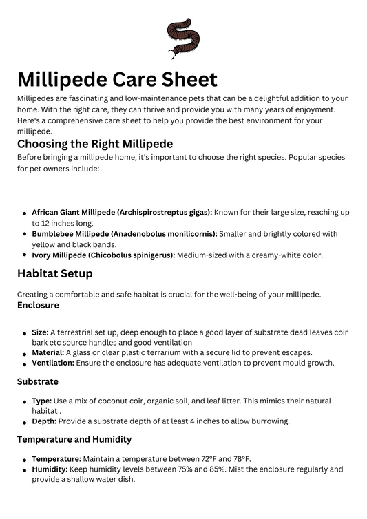 Millipede Care Sheet