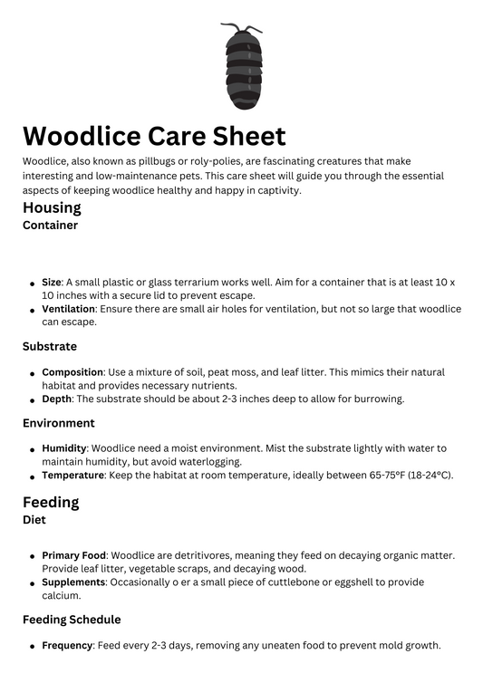 Isopod/Woodlice Care Sheet