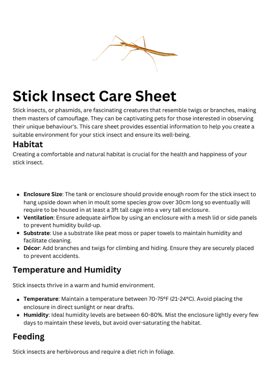 Stick Insect Care Sheet