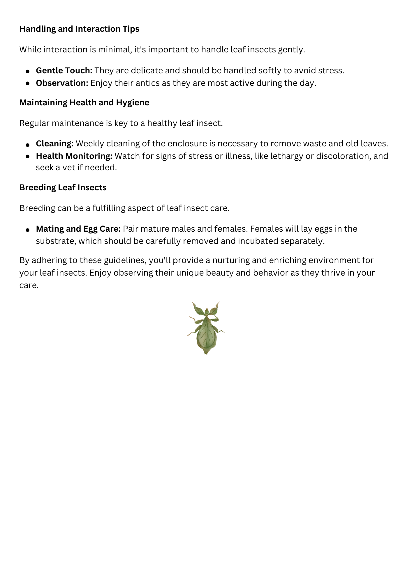 Leaf Insect Care Sheet