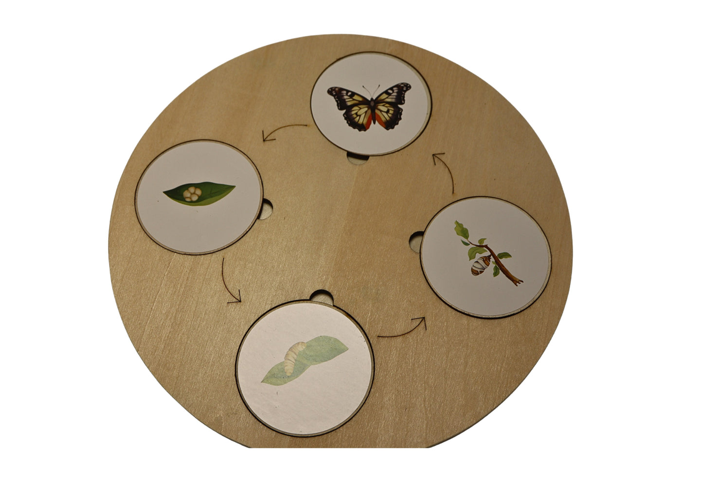 Wooden Lifecycle Set