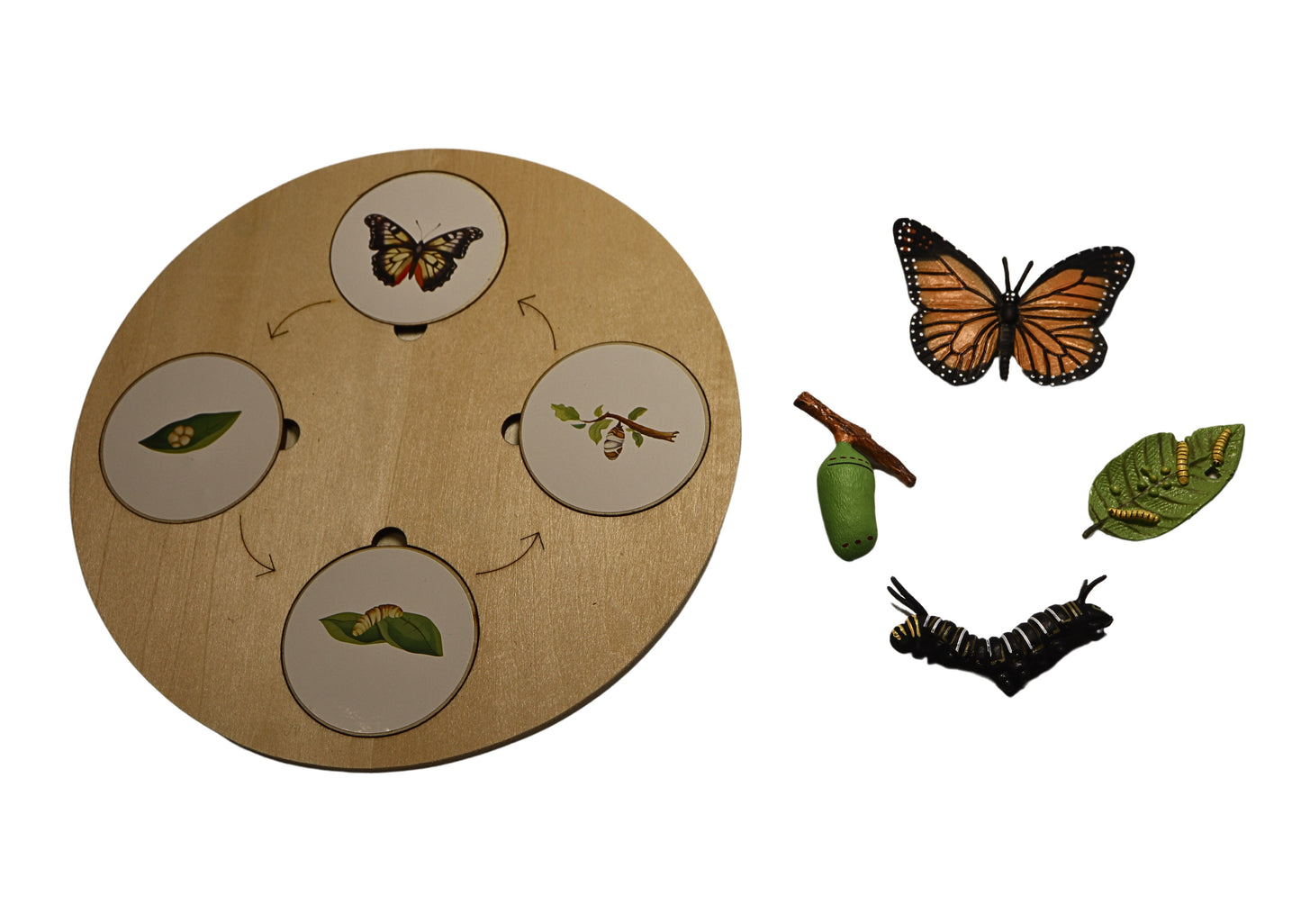 Wooden Lifecycle Set