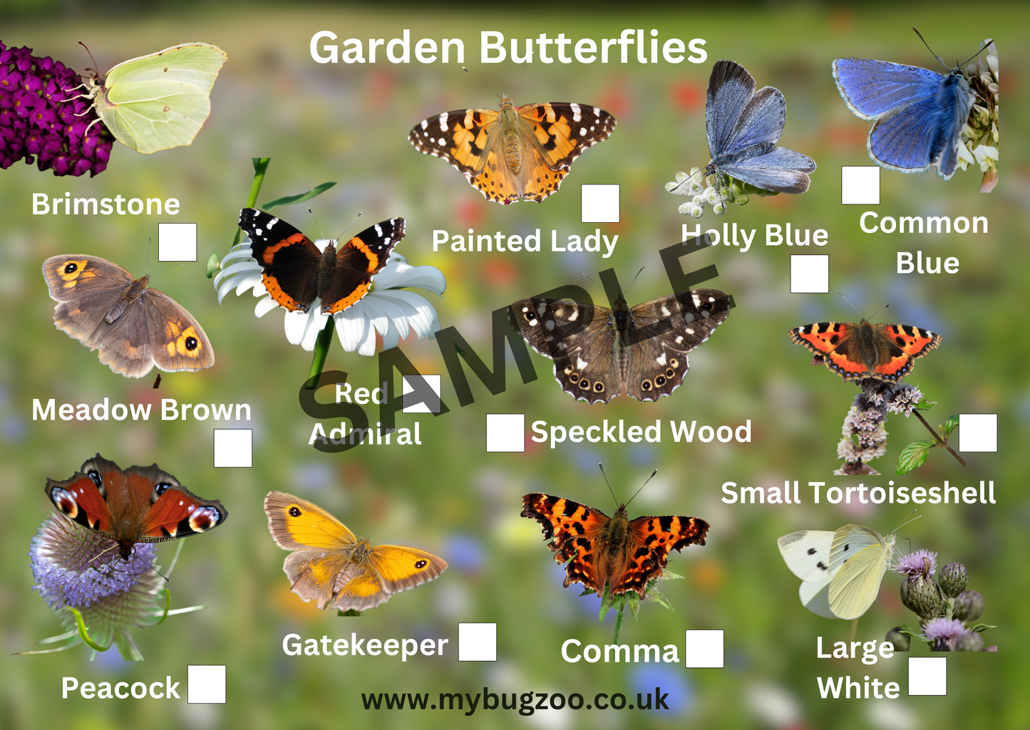 Small A6 Garden Butterflies Spotter Sheet