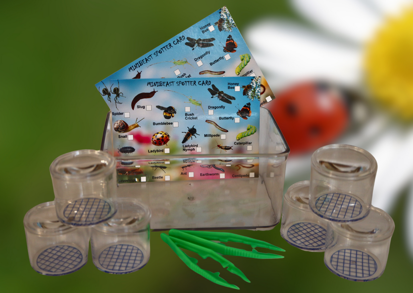 Young Naturalist Set Including Bug Pots