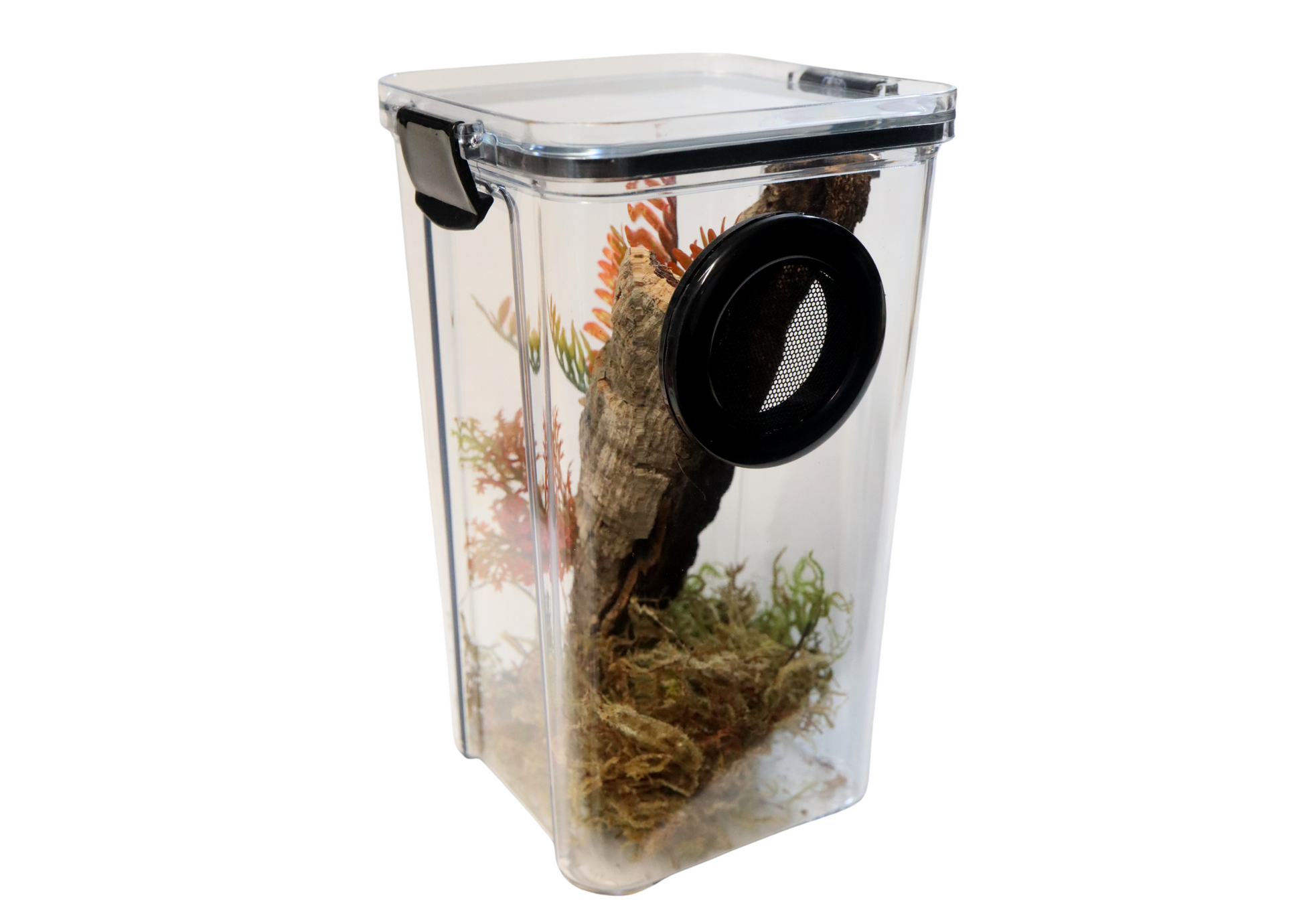 Arboreal Invertebrate Keeper Clear Lid My Bugzoo