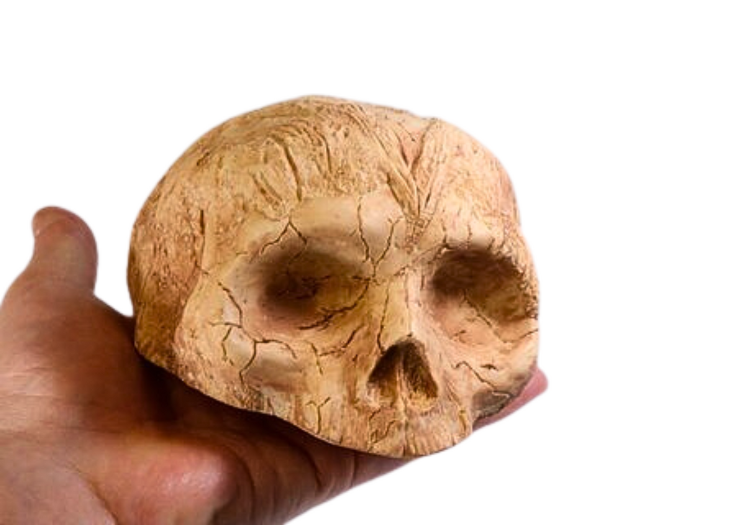 Large  Skull Cave