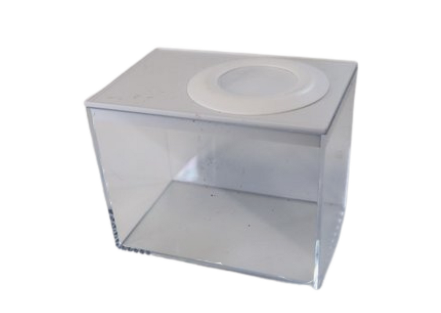 Top Vented Mini Insect Rearing Boxes