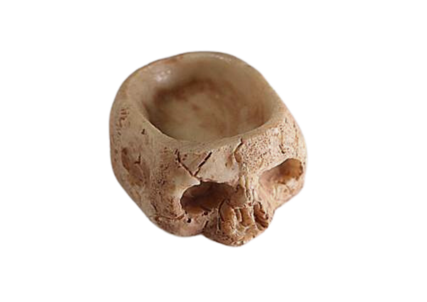 Mini Skull Food/Water Bowls