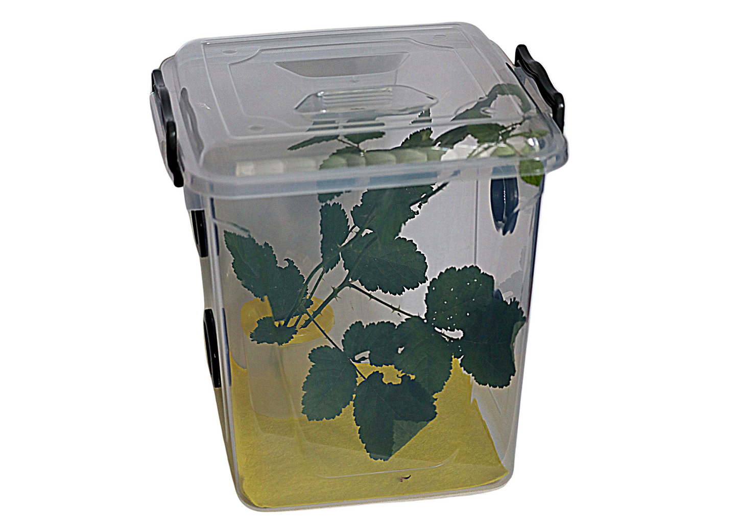 11 LTR Multi Vented Insect Enclosure