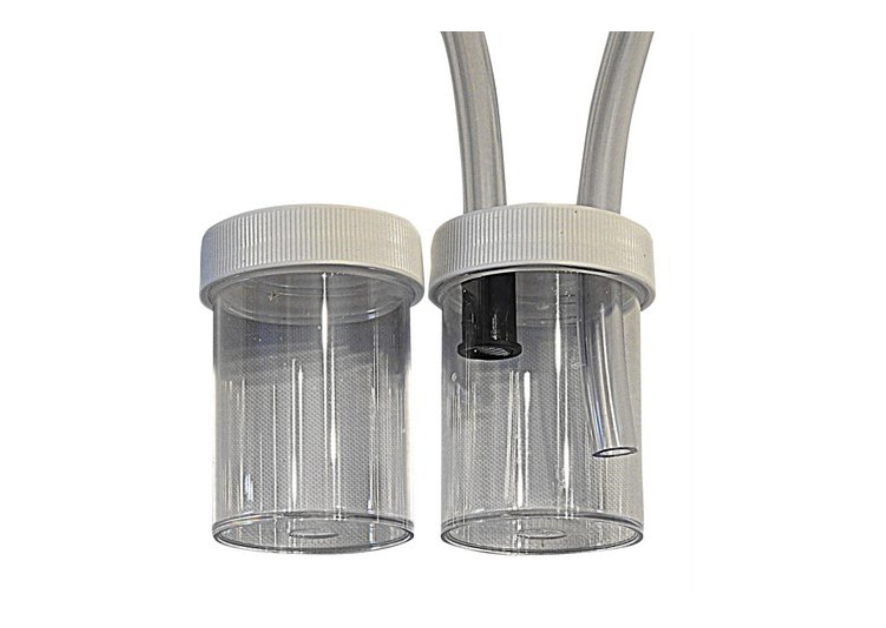 Insect Pooter - With Extra Pot – My BugZoo