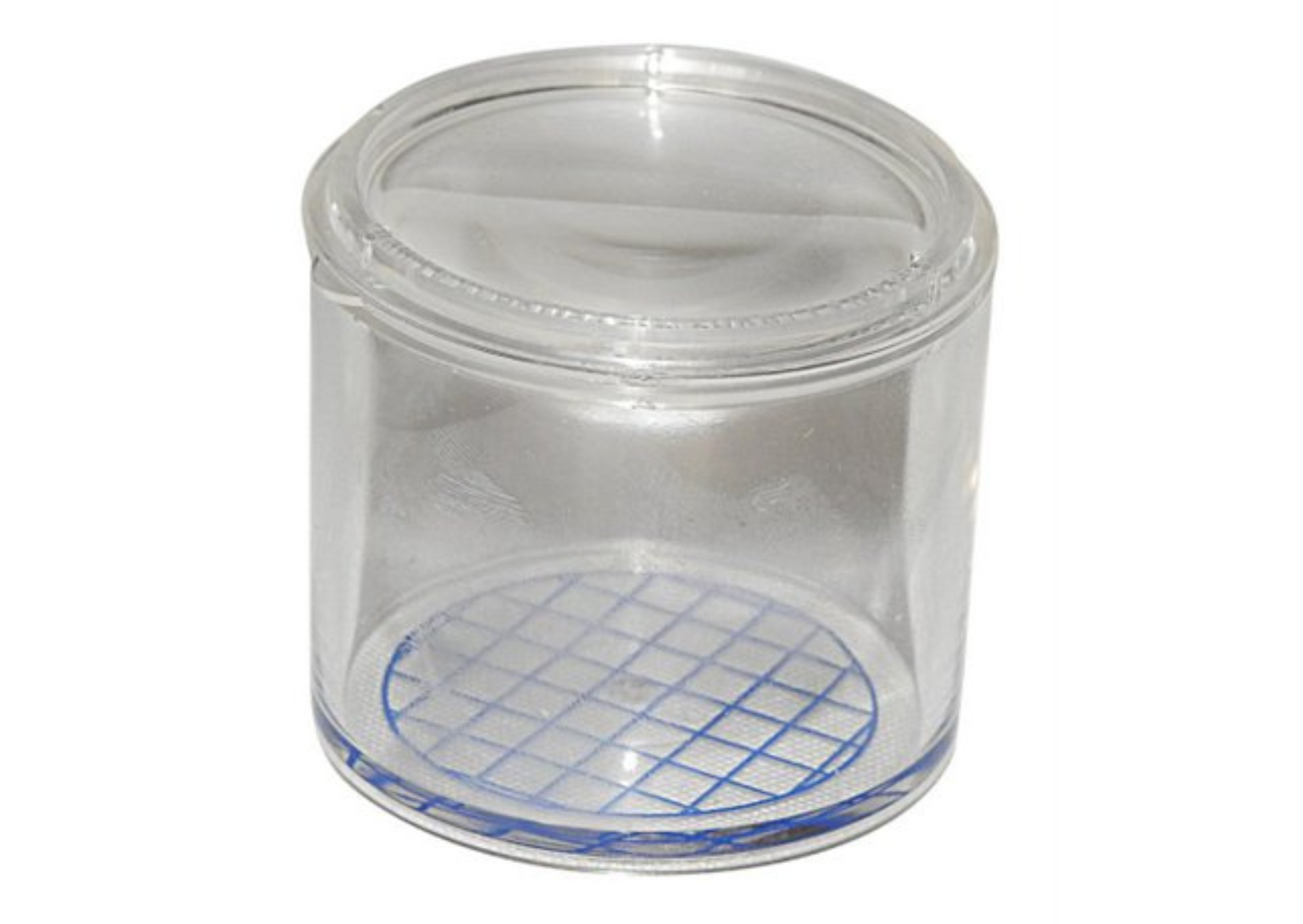 Round Bug Pot – My BugZoo