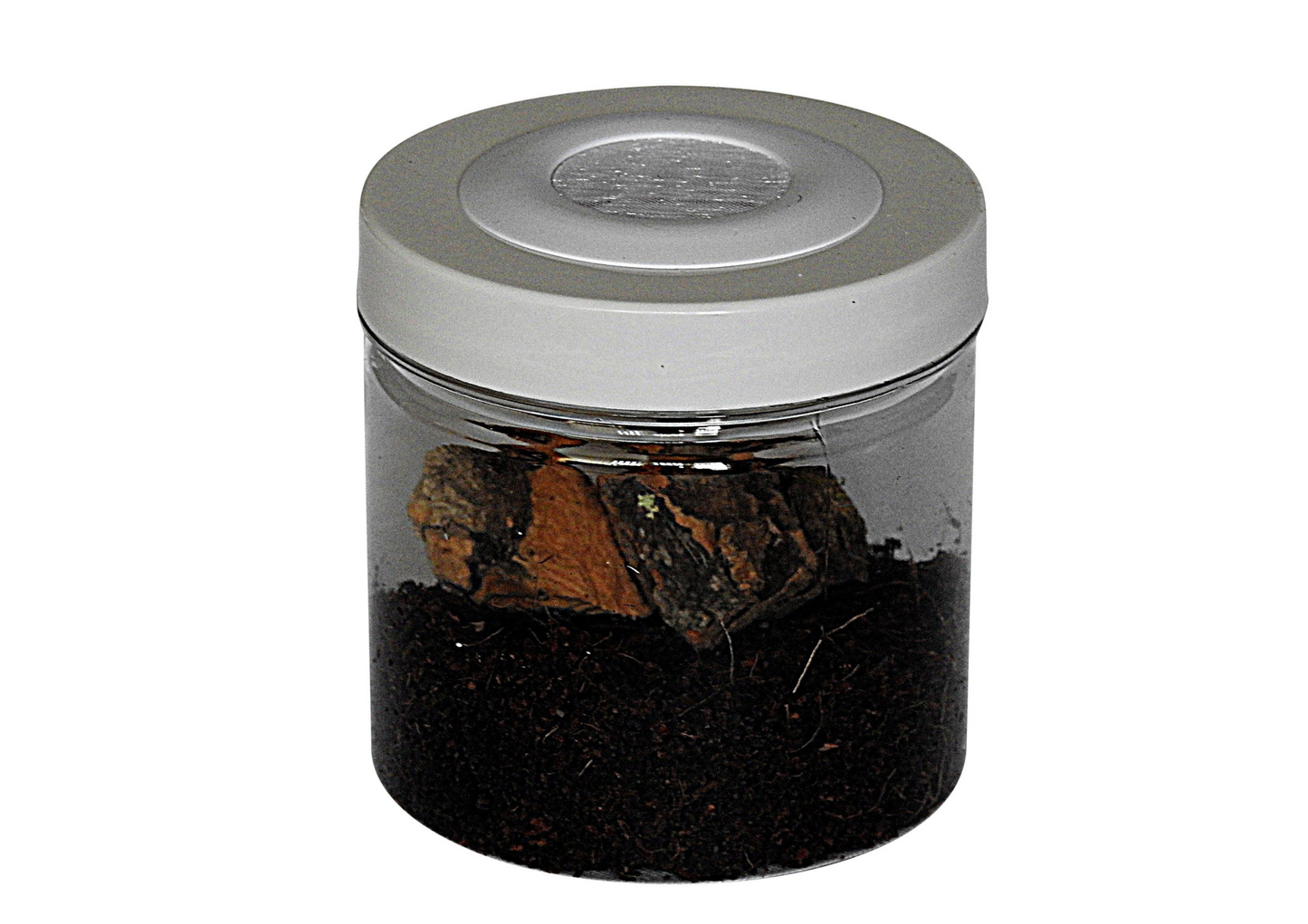 Small Insect Rear Jar Fine Mesh