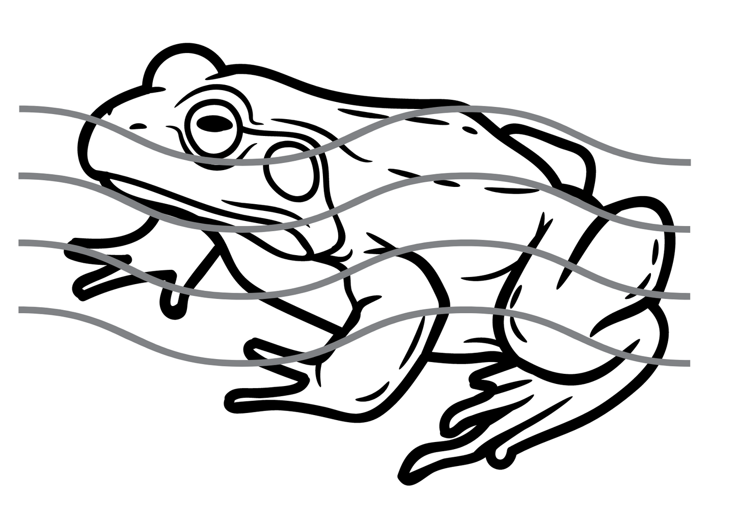 Frog Colour Sheet Download