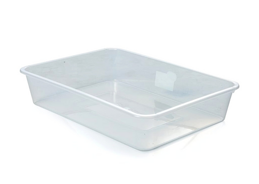 Large Clear Specimen Tray