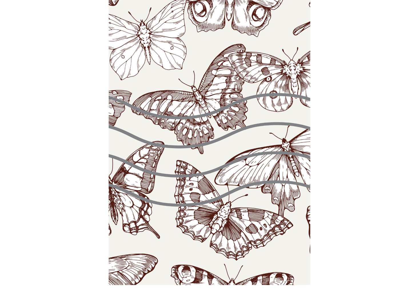 Butterfly Design Download