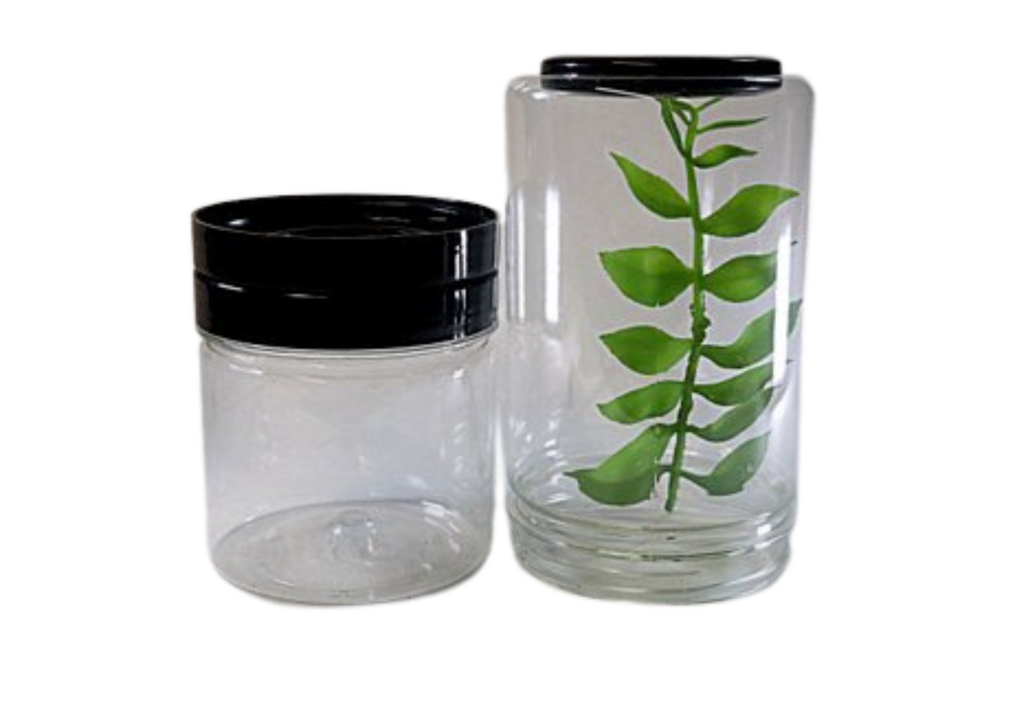 Two Part Insect Rearing Jar