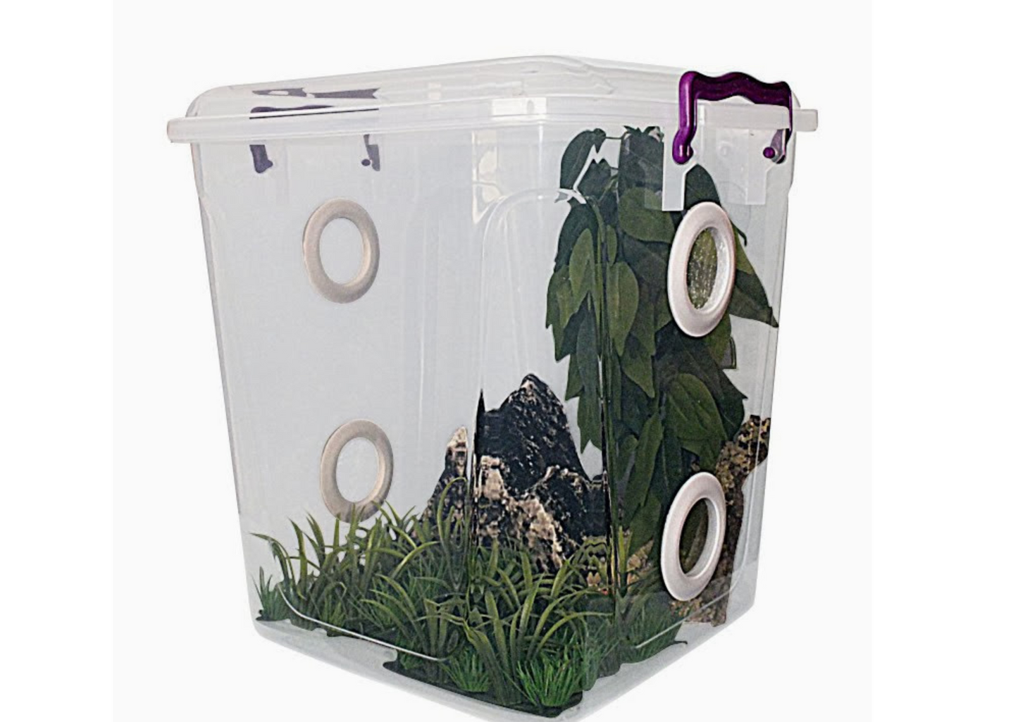 20LTR Tall Arboreal Insect Enclosure Ideal For Stick Insects Etc