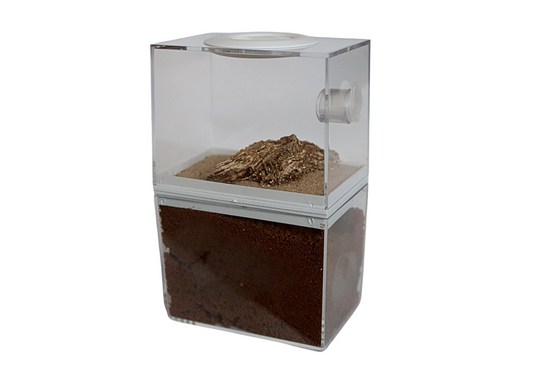 Nano Ant Farm Double Decker (New Clear Top Style)