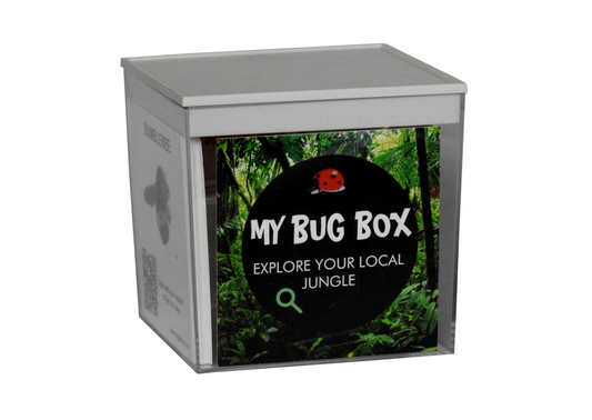 The Bug Box By My Bug Zoo
