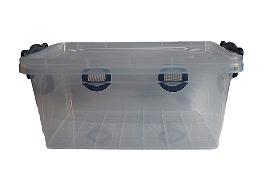 Clippy Insect Enclosures – My BugZoo