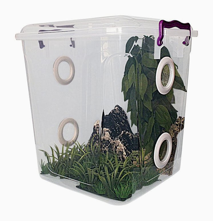 EITGZWAS Small Praying Mantis Stick Insect Butterfly Pop-up Cage Housing  Enclosure