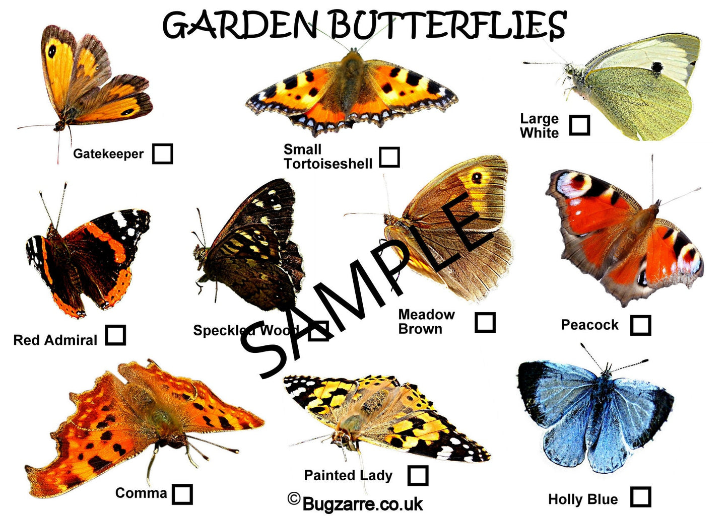 Garden Butterflies Spotter Sheet