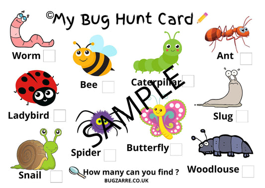 Preschool Bug hunting Spotter Cards