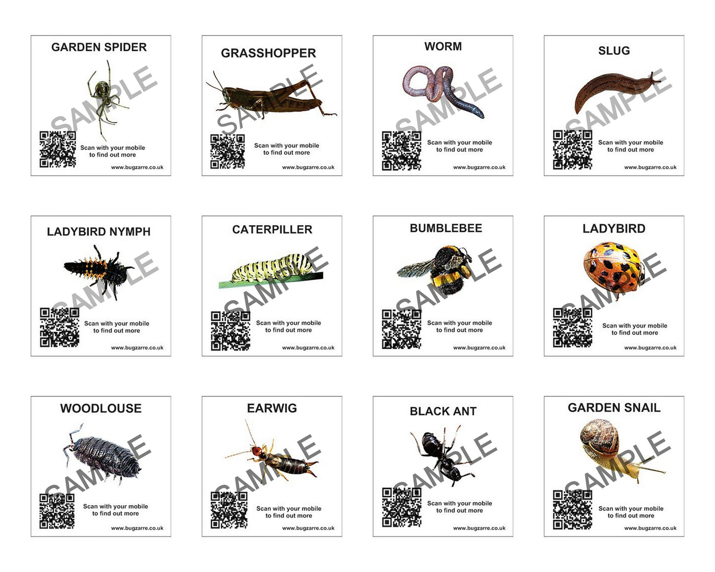 Bug hunt/ Minibest Hunt Set Of 12 cards