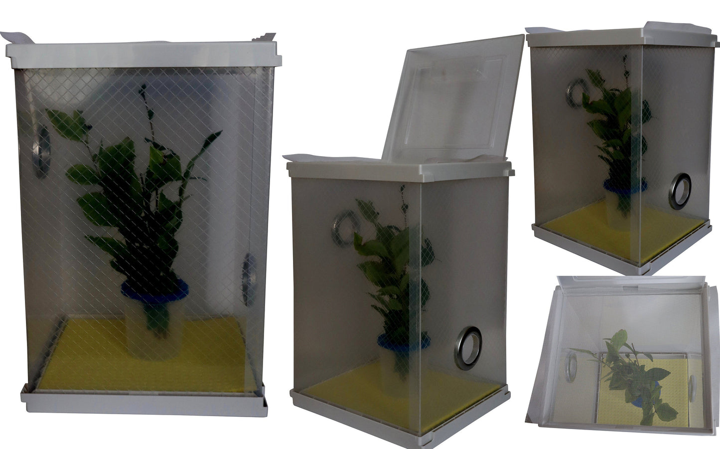 Stick Insect Cage Including Twig Pot and Easy Access Lid