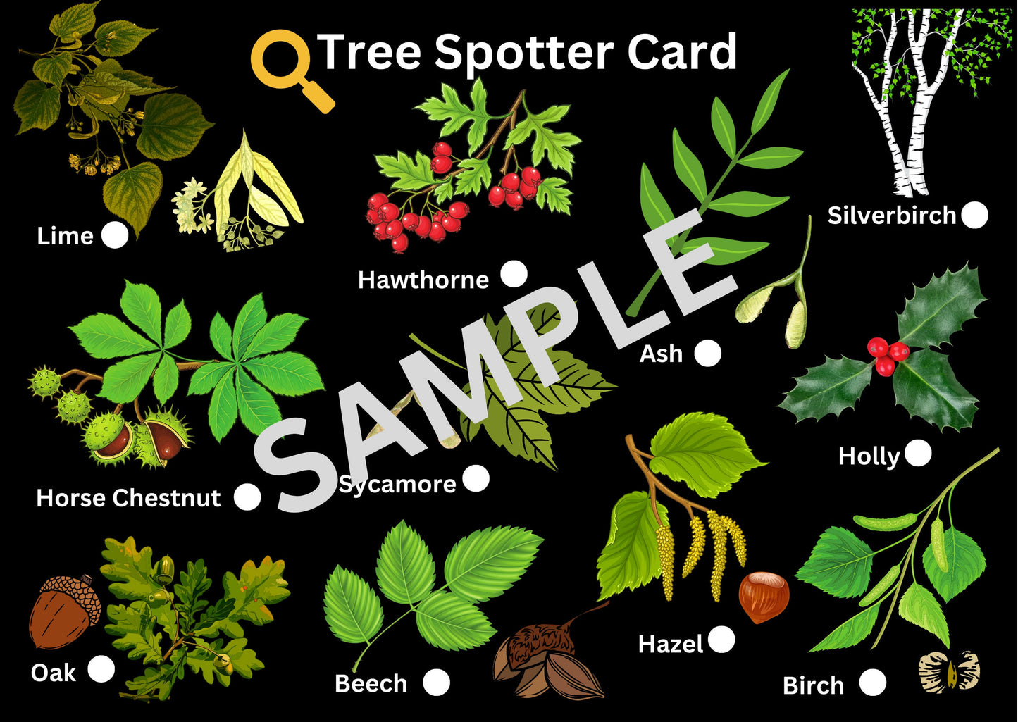 Tree Spotter Card